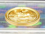 天皇陛下御在位20年記念1万円金貨 平成21年